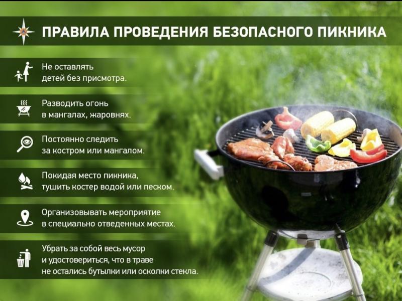 Правила проведения безопасного пикника